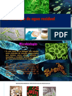 microbiologia de agua.pptx
