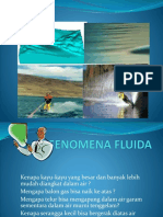 Fluida 1.1