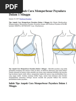 6 Tips Ampuh Cara Memperbesar Payudara Dalam 1 Minggu Pdf