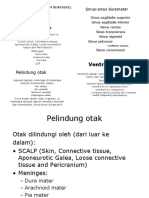 Meninges dan Ventrikel