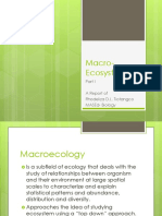 Macro Ecosystem Report