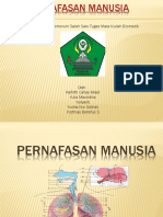 PERNAFASAN MANUSIA