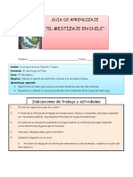 guc3ada-mestizale1.docx