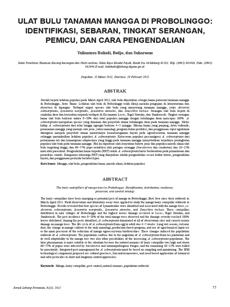 Contoh Teks Laporan Hasil Observasi Tentang Mangga Terkait Teks
