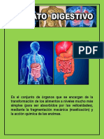 Digestivo Diapositiva-3
