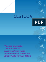 Cestoda