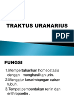 6.12 Histologi - It 10 - Traktus Uranarius - SH - Blok 6