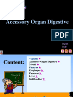 3 Accessory Organ Digestive