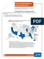 Typhi Annual Summary 2013 508c