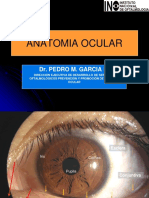 2.anatomia Fisiologia Ocular