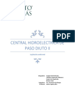 Central Hidroelectrica de Paso Diuto II (Reparado)