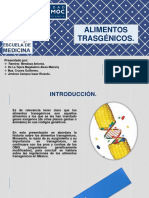 Alimentos-Transgénicos-2