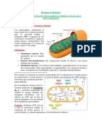 Resumen de Biología I T5