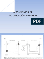 Acidificación Urinaria - Aquaorina - Prueba Funcion Renal