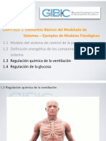 Fisiología Modelo Respiratorio