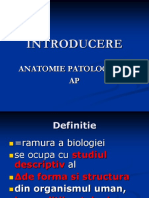 Introducere: Anatomie Patologica AP