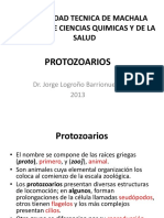 Proptozoarios-1