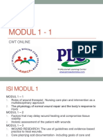 Modul 1 - 1 PDF