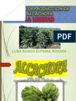 costos de produccion -alcachofa