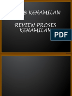 Proses Kehamilan