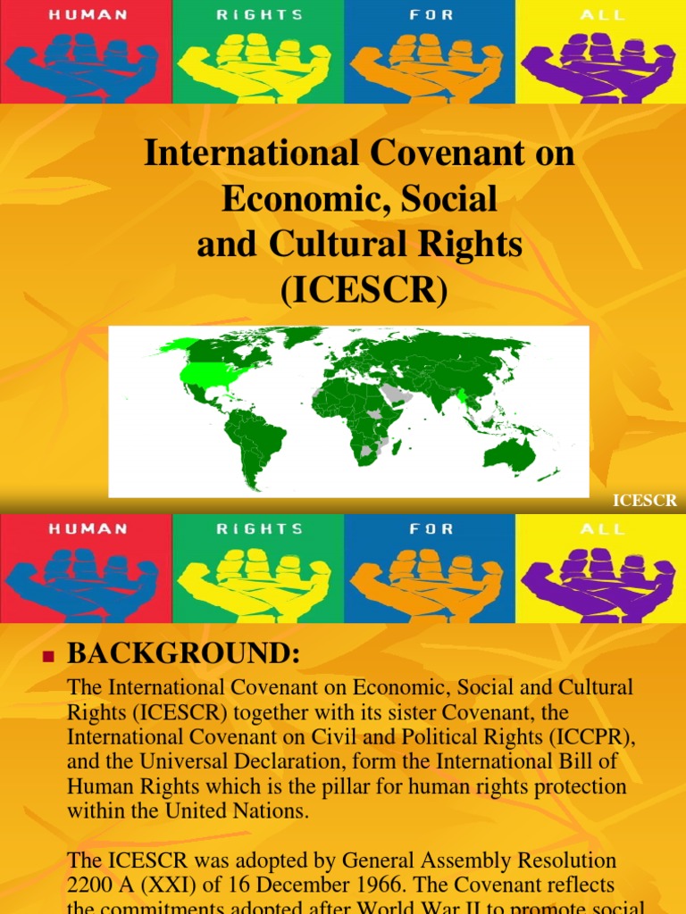 Overview of the ICESCR 1966 | PDF | Egalitarianism | Public Sphere