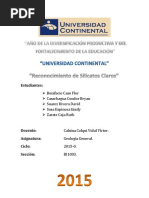 Informe Silicatos Claros