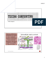 Tecido Conjuntivo Ilovepdf Compressed