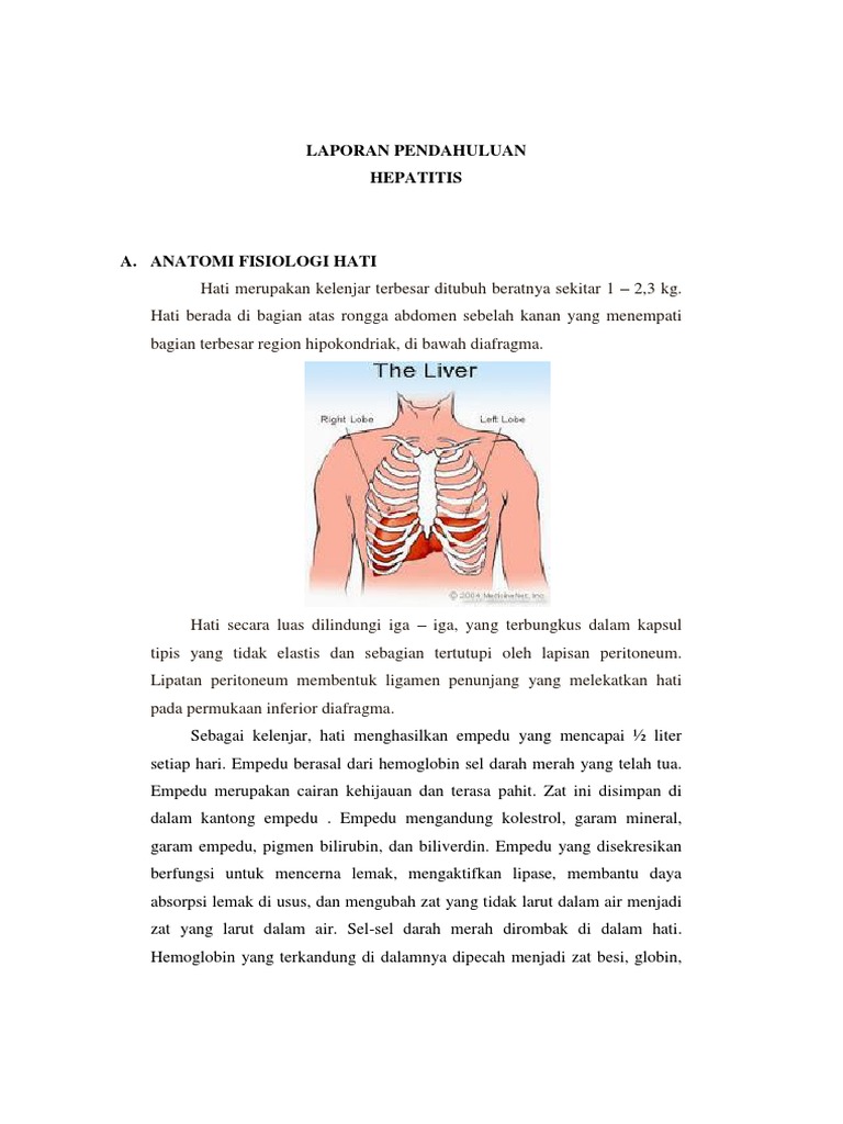 Unduh 530 Gambar Fisiologi Hati Paling Baru Gratis