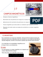 Campo Magnetico