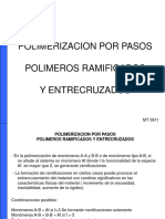 Polimerizacion Por Pasos