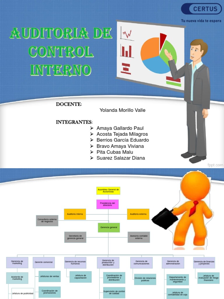 Auditoria de Control Interno | PDF | Responsabilidad | Liderazgo