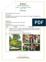 Nut in pl.pdf
