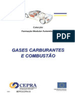 GASES CARBURANTES E COMBUSTÃO.pdf