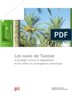 Les Oasis de Tunisie À Protéger Contre Le Changement Climatique