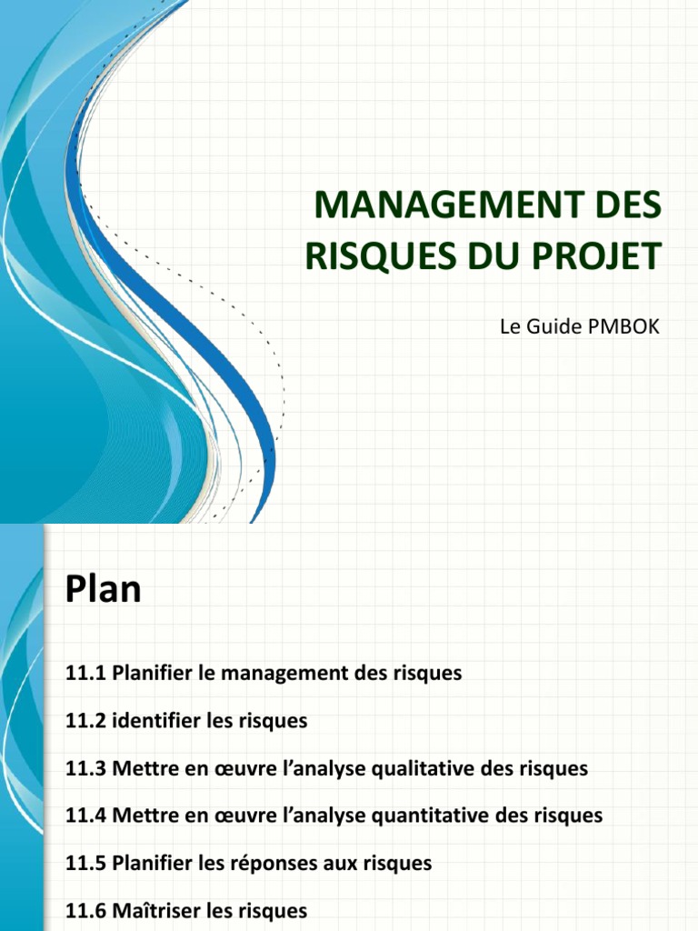 Management des Risques de Projet PMBOK | PDF | Risque | Gestion des risques