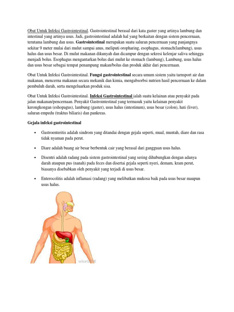 Obat Untuk Infeksi Gastrointestinal