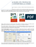 Dictionar Print PDF