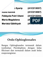 ORDO Ophioglossales