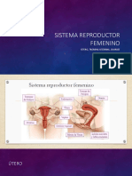 Sistema Reproductor