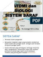 Anatomi Sistem Saraf