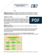 Tarea 19 S Español 1