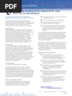 What are Double-Byte, Single-Byte, and Multi-Byte Encodings?