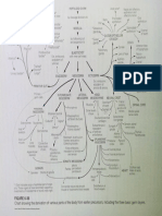 chart-of-germ-layer-derivatives.pdf