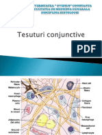 LP5.Tesuturi Conjunctive Si Varietati (Colegii).Ppt