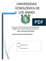 Informe-.docx