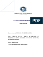 CÁLCULO DE LA HUELLA DE FRENADO - Tesis PDF