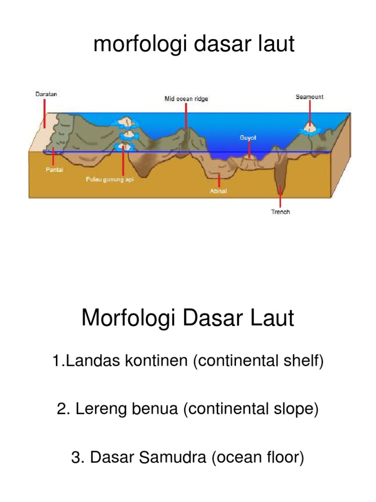 morfologi  dasar laut  ppt  morfologi  dasar laut  ppt