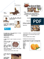 Diptico de Alimentos Ricos en Hierro