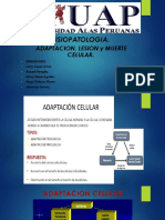 Mecanismos de Adaptación Celular