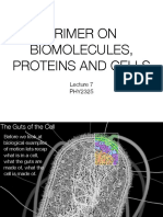 Lecture 7 Primer on Biomolecules Cells and Proteins